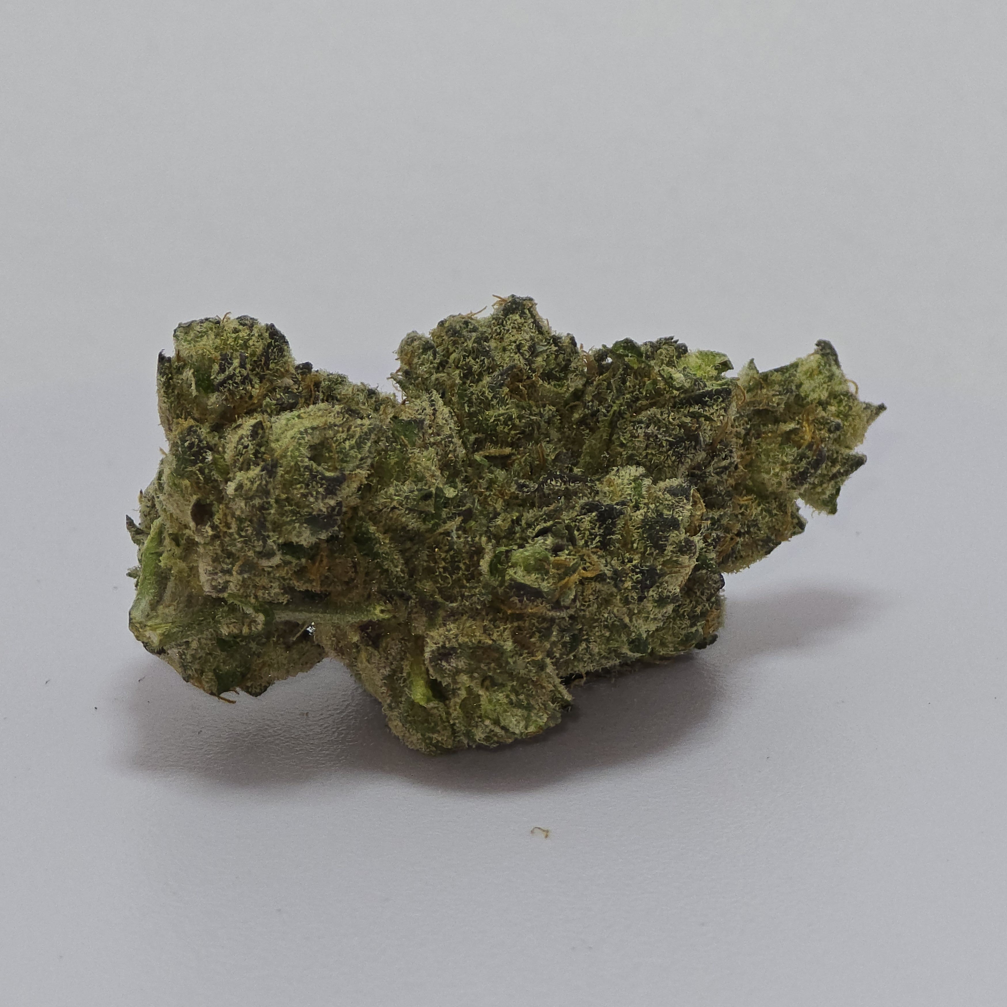 Ghost OG