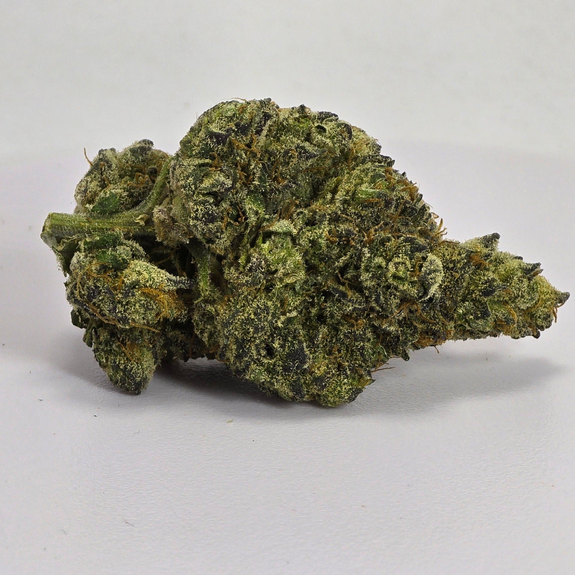 Gorilla Bomb